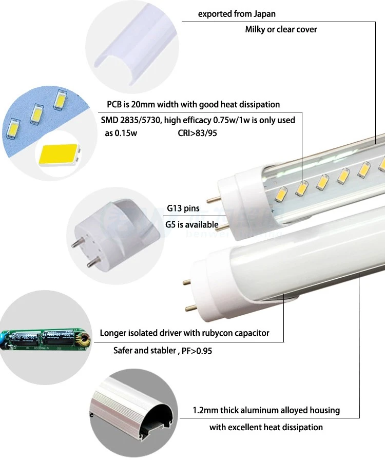 t5 t8 LED lamp t5 t8 LED lamp