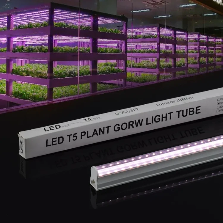 T5 High PPFD Grow Lights T5 High PPFD Grow Lights