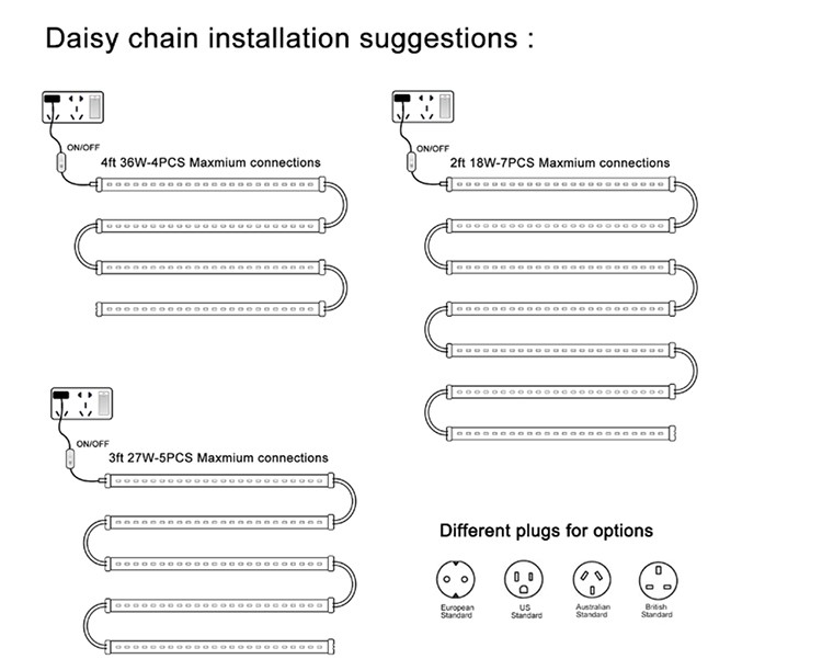 la luz en las plantas la luz en las plantas