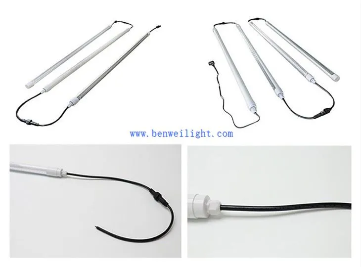 Poultry house lighting