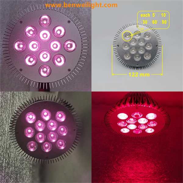 InfraGlow Red & Infrared Light Therapy suppliers