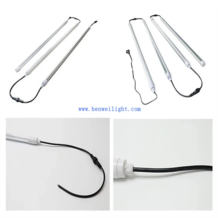 Clucker Coop Light (4)