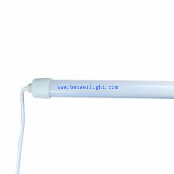 Clucker Coop Light (5)