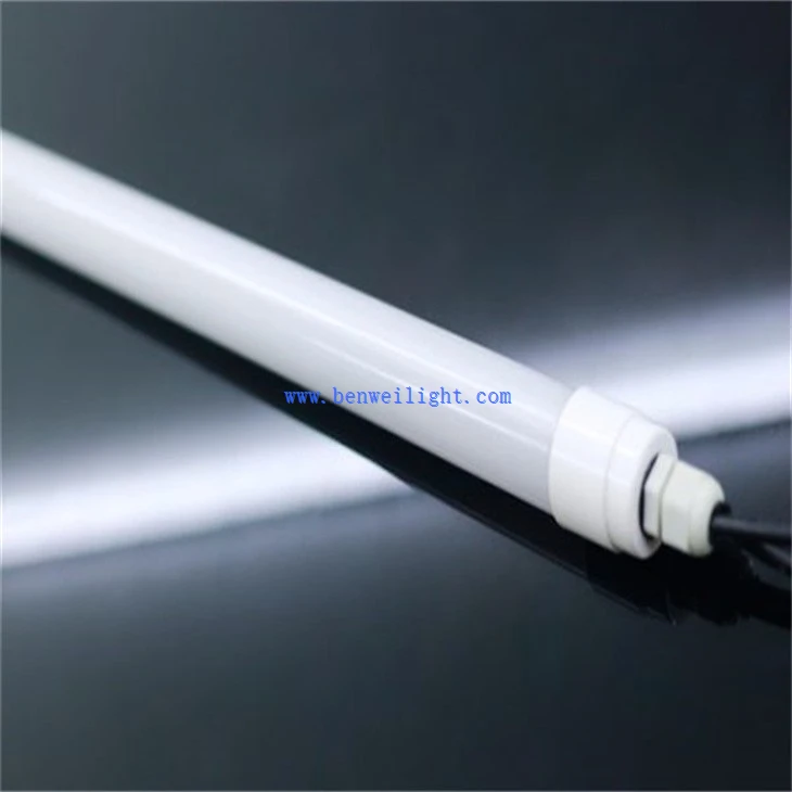 Clucker Coop Light (1)