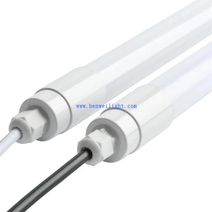 Dairy and poultry light (1)
