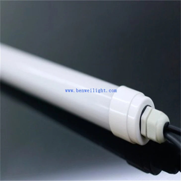 Dairy and poultry light (3)