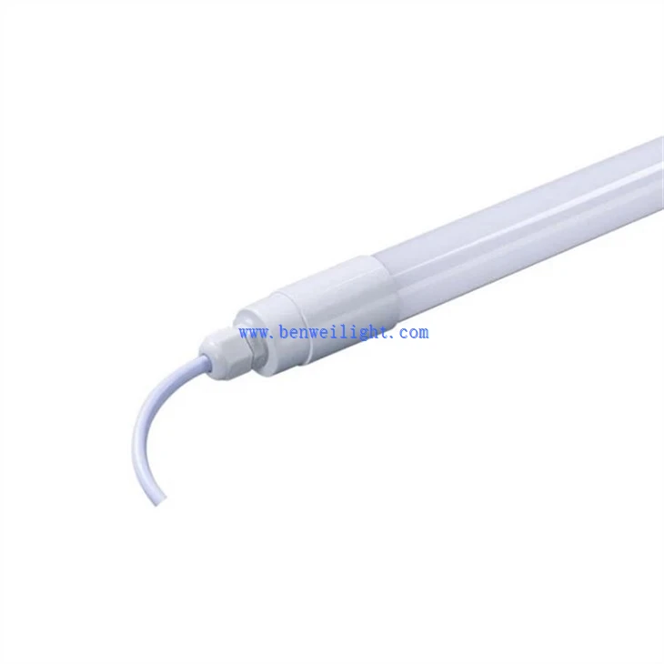 Dairy and poultry light (2)