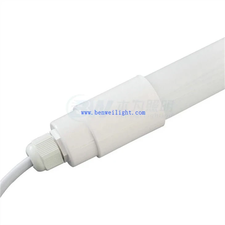 Dairy and poultry light (4)