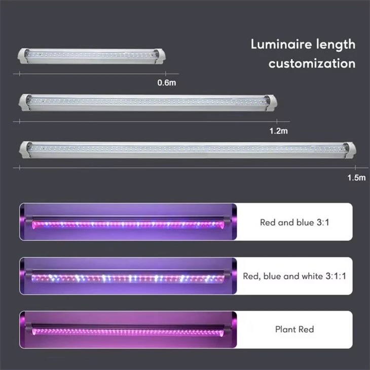 Grow Lights For Houseplants suppliers