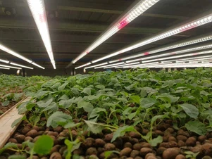 2a02855844ecfdc60fa73221fd66bdaf 2a02855844ecfdc60fa73221fd66bdaf