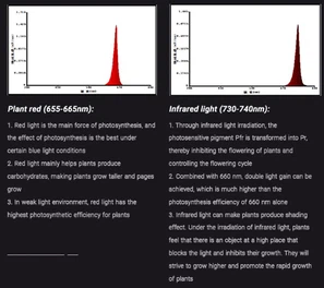 QQ20251015-103314 QQ20251015-103314
