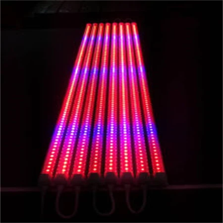 info-750-750 info-750-750