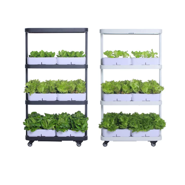 product-750-750 product-750-750